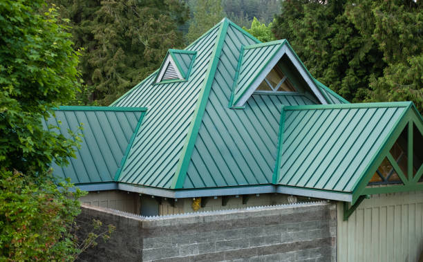 Best Emergency Roof Repair Services  in Meadow Glade, WA